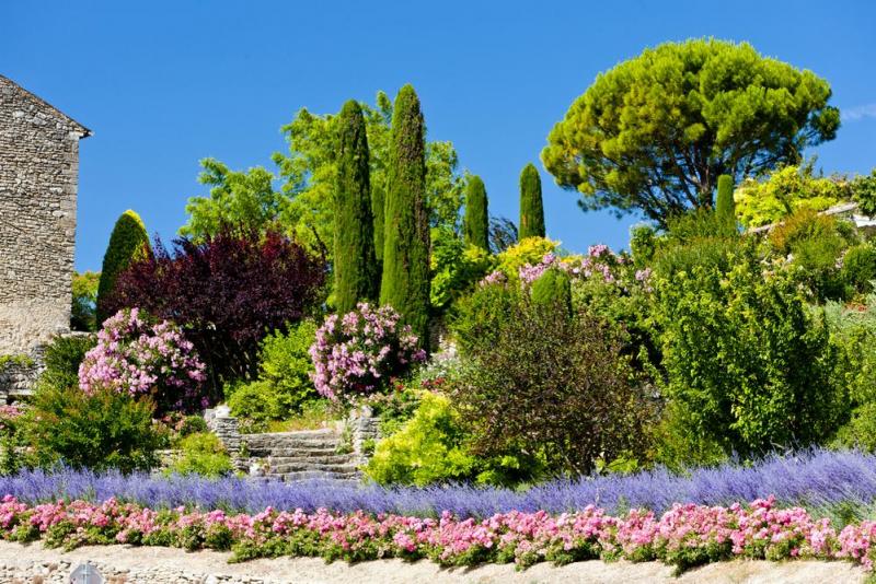 Entretien de jardin à Istres, astuces pour des espaces verts magnifiques