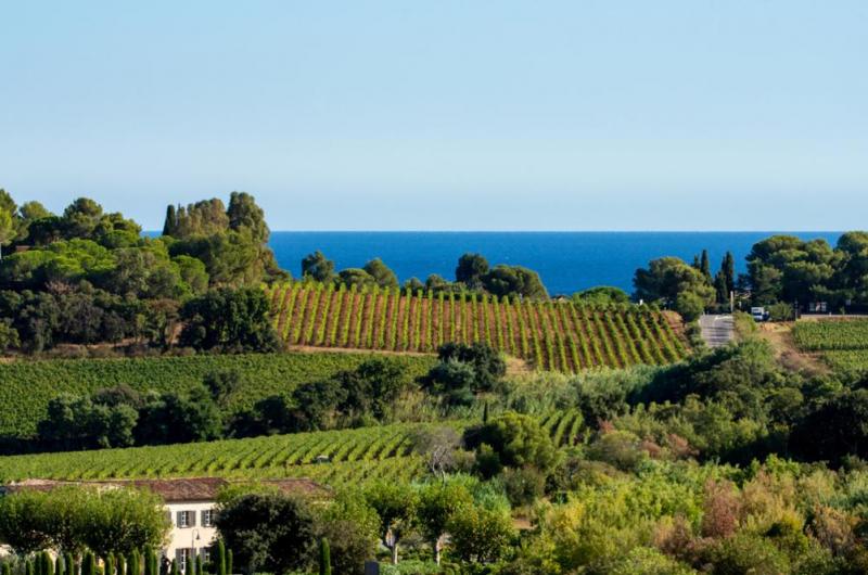 Cr&eacute;ation de jardin &agrave; Istres, comment am&eacute;nager avec style ?