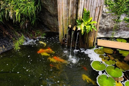 Installation d'un bassin ornemental &agrave; Istres, guide des meilleures pratiques