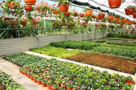 Comment la jardinerie &agrave; Istres peut transformer votre espace vert ?