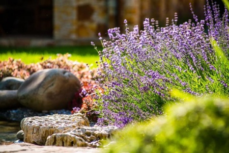 Jardins th&eacute;matiques &agrave; Istres, comment cr&eacute;er votre univers ?